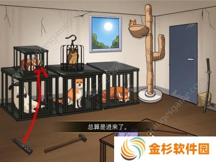 汉字找茬王想办法救出所有动物通关攻略 动物大救援想办法救出所有动物答案[多图]图片3