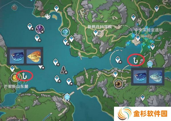 原神灰河渡手钓鱼地点分布图 灰河渡手精炼材料钓鱼点位攻略[多图]图片8